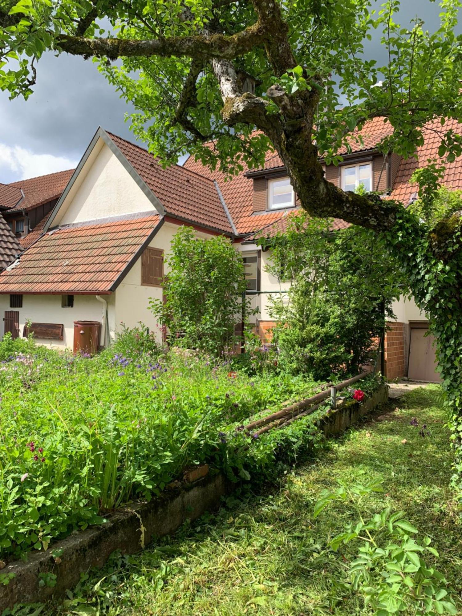 Haus Anna Apartamento Freudenstadt Exterior foto